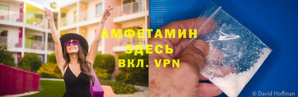 дурь Аркадак