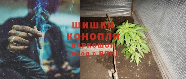 ПСИЛОЦИБИНОВЫЕ ГРИБЫ Армянск