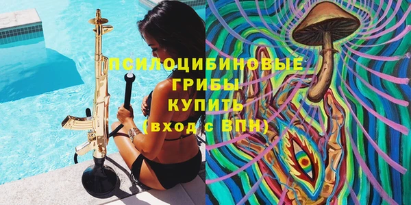 ПСИЛОЦИБИНОВЫЕ ГРИБЫ Армянск