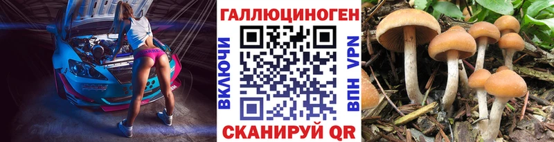 кракен ONION  Сусуман  Псилоцибиновые грибы мухоморы 
