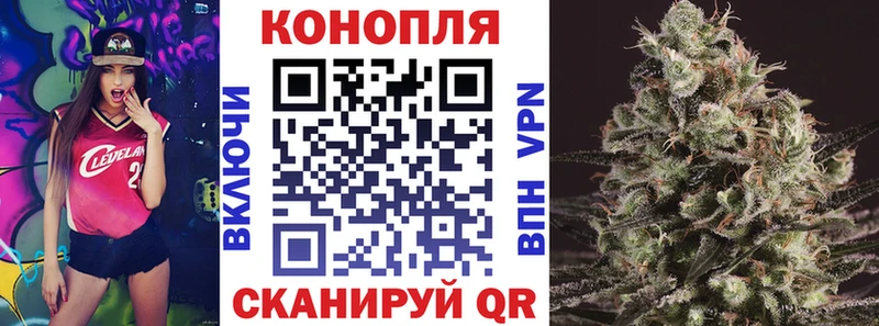 Канабис индика  Сусуман 